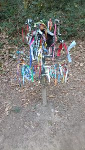 CAMINO DE SANTIAGO CORRIENDO